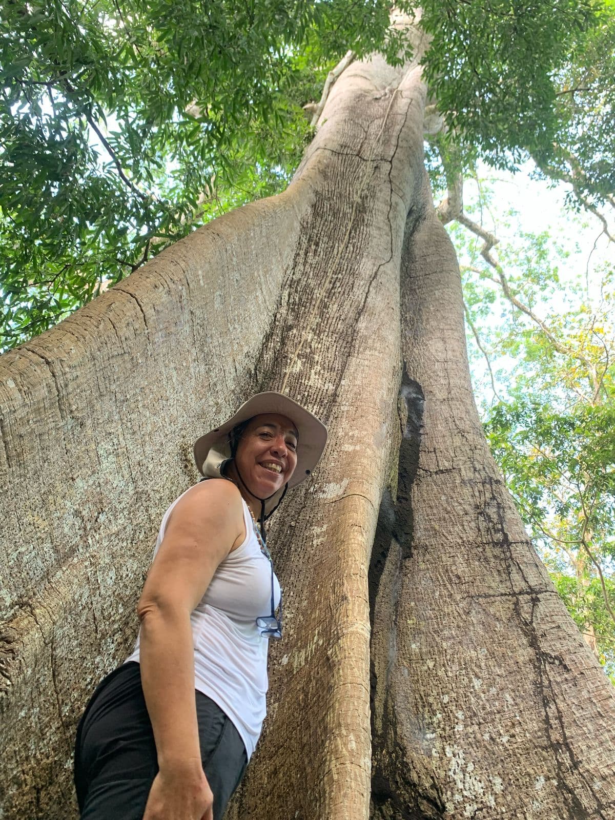 Amazônia