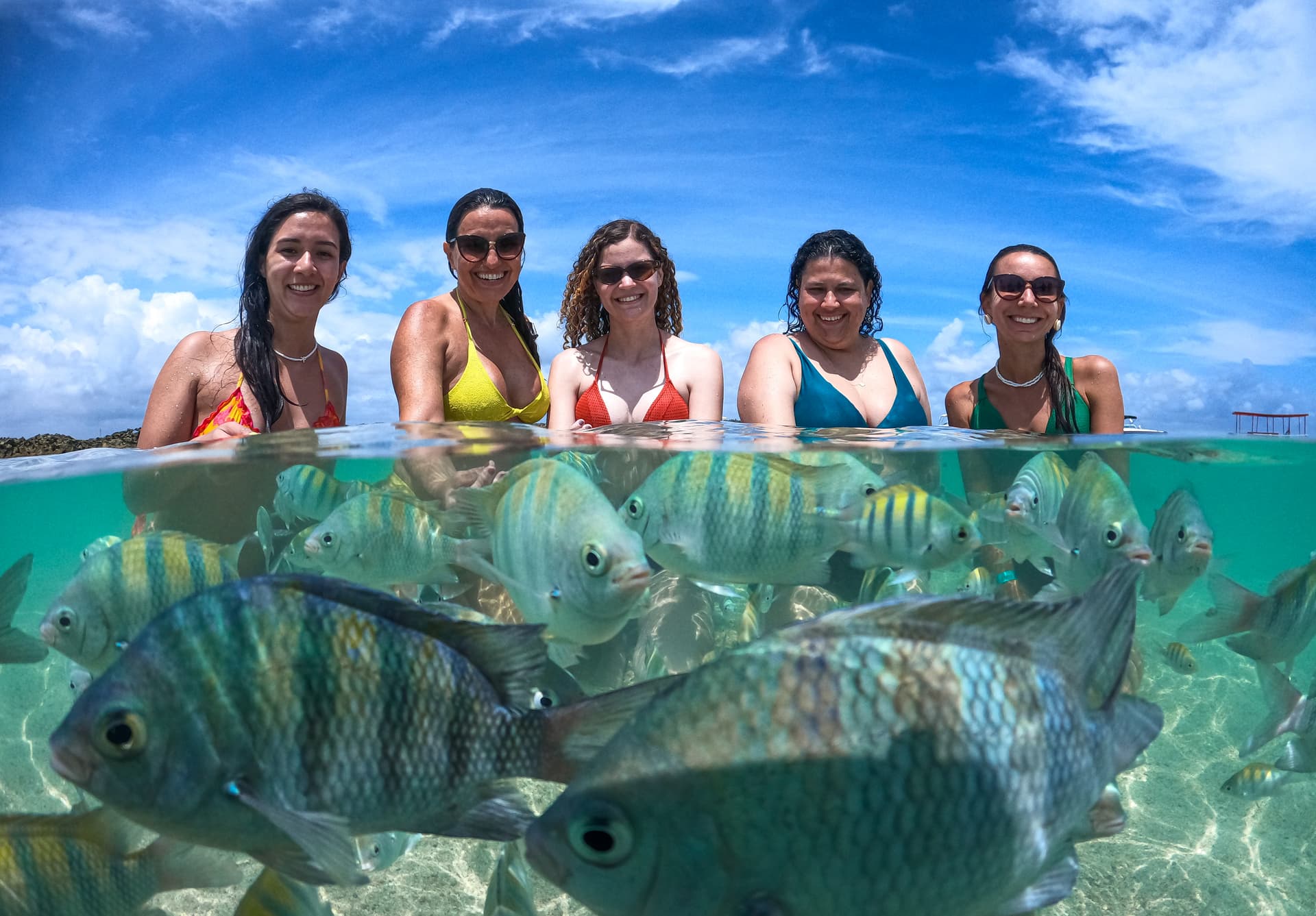 Maceió e Maragogi