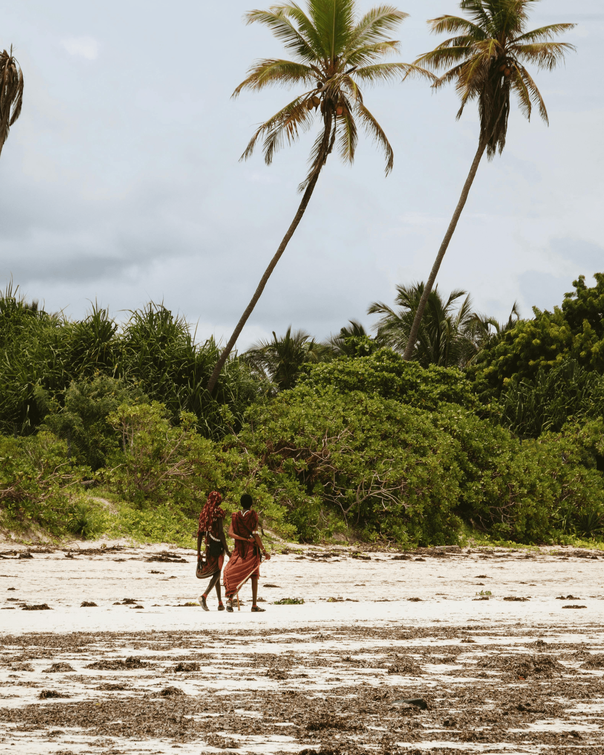 Tanzânia & Zanzibar