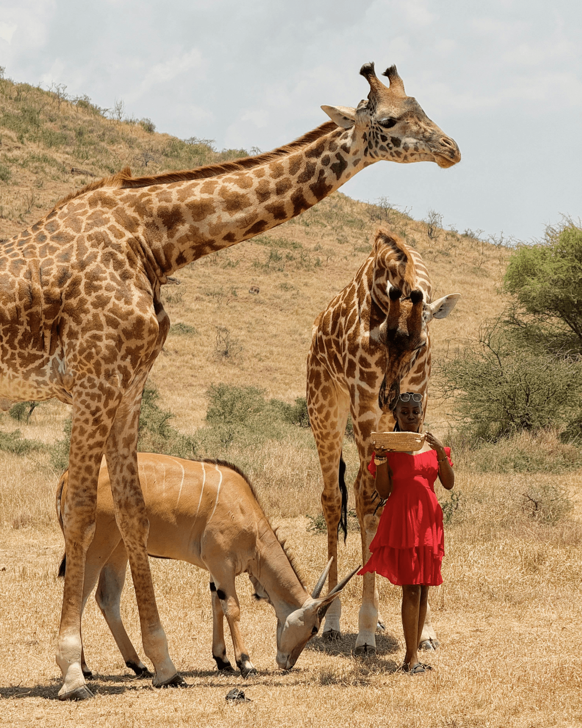Tanzânia & Zanzibar