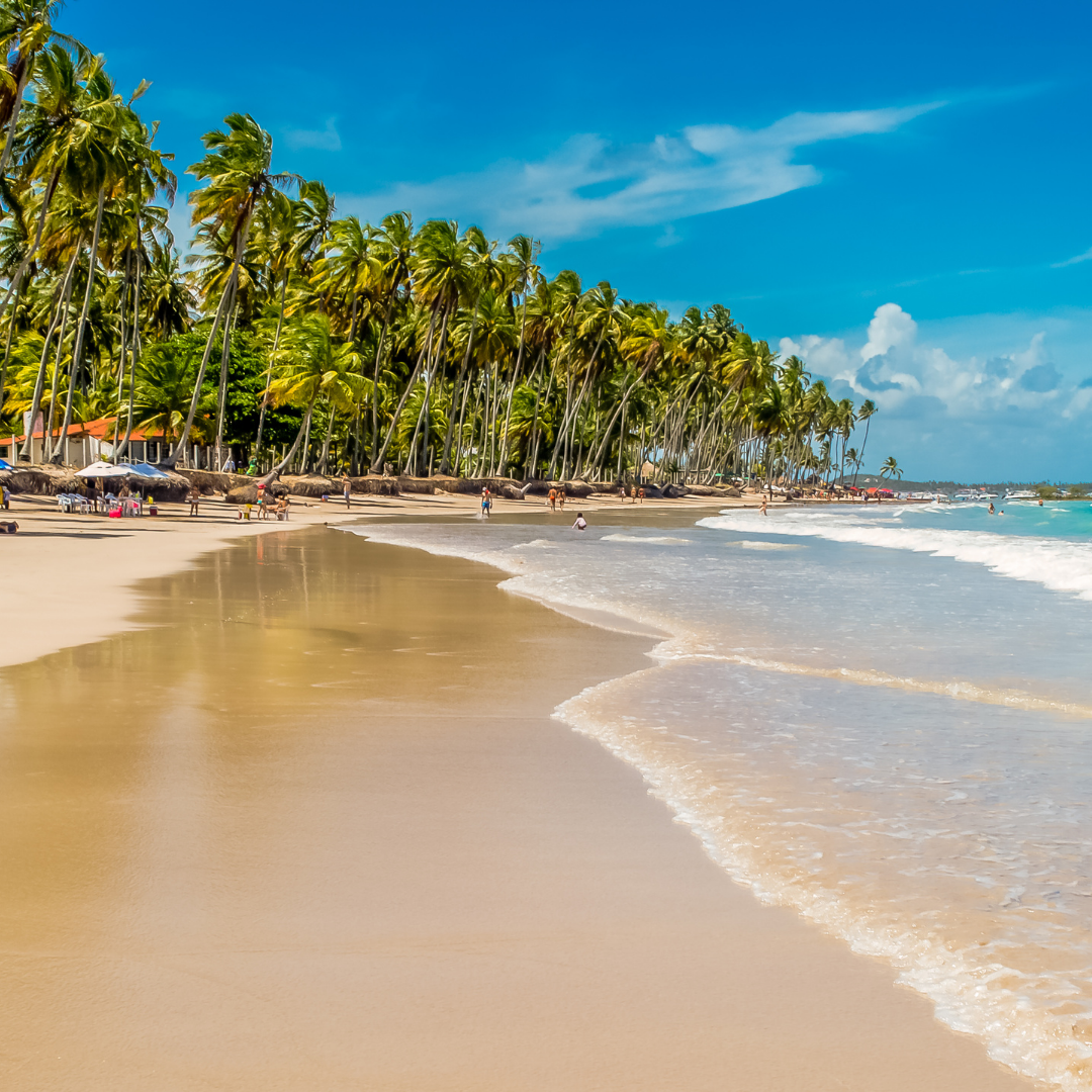 Recife e Porto de Galinhas