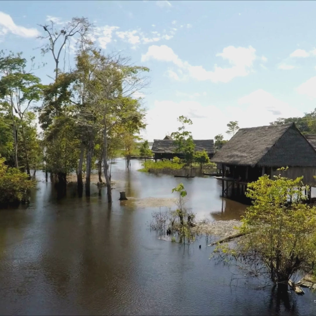 Amazônia