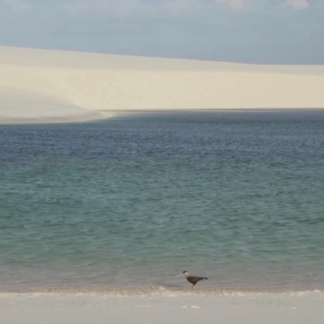 Lençois Maranhenses