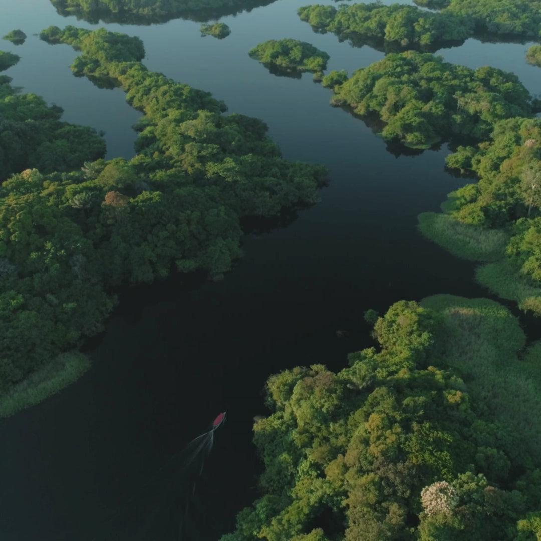 Amazônia